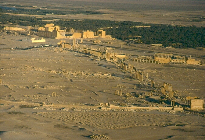Palmyra