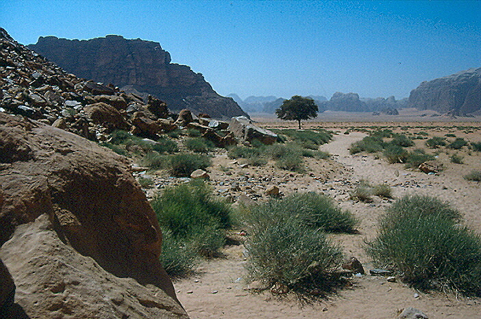 Wadi-Rum